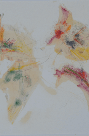 Neshama III Daffodils