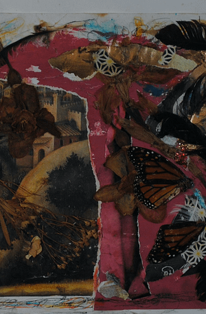 The Death of JFK Jr.